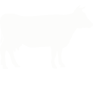 LA VACA ROXA